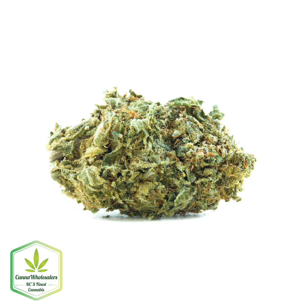 Woody Kush