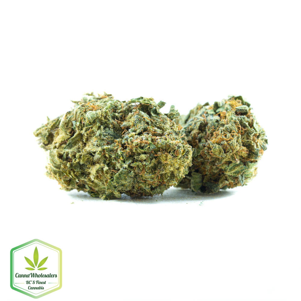 Woody Kush