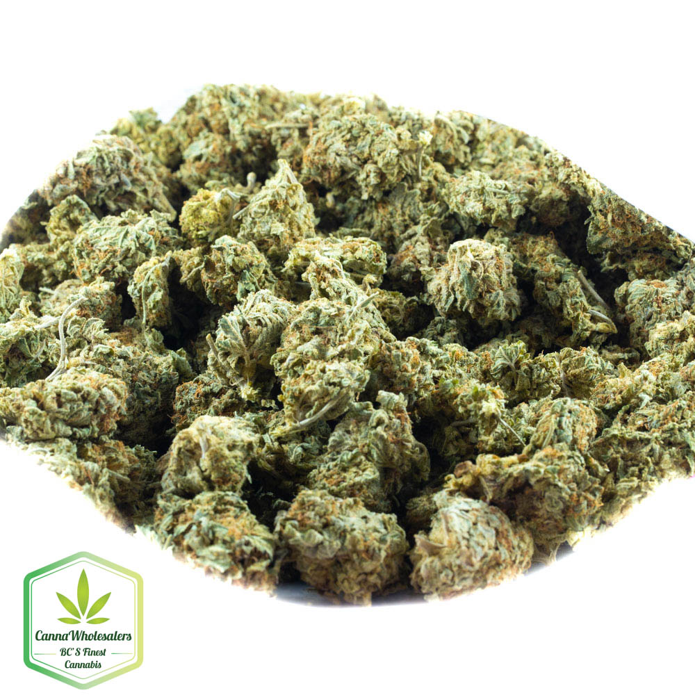 Woody Kush