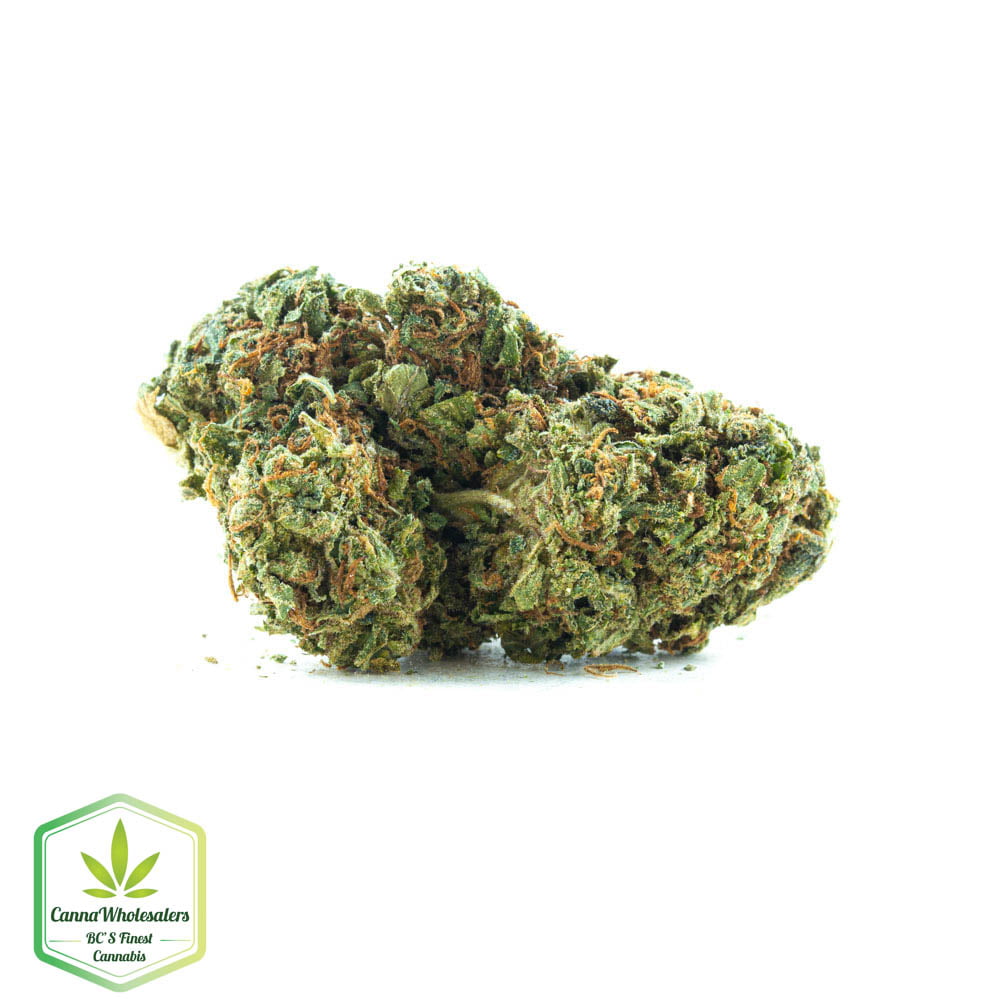 Afghan Sour Kush
