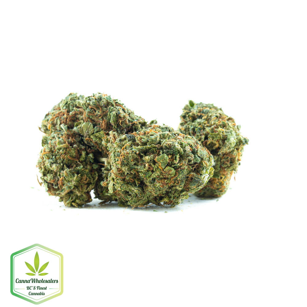 Afghan Sour Kush