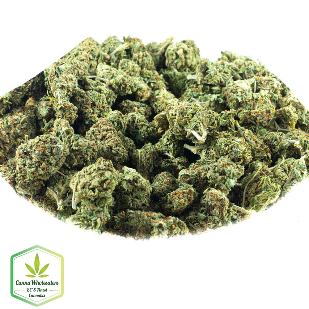 Afghan Sour Kush