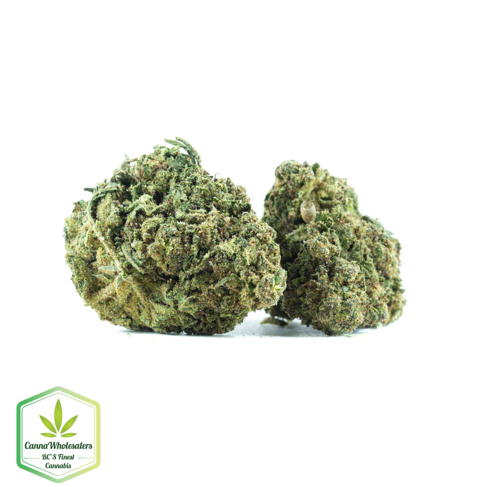 Lemon Jeffery