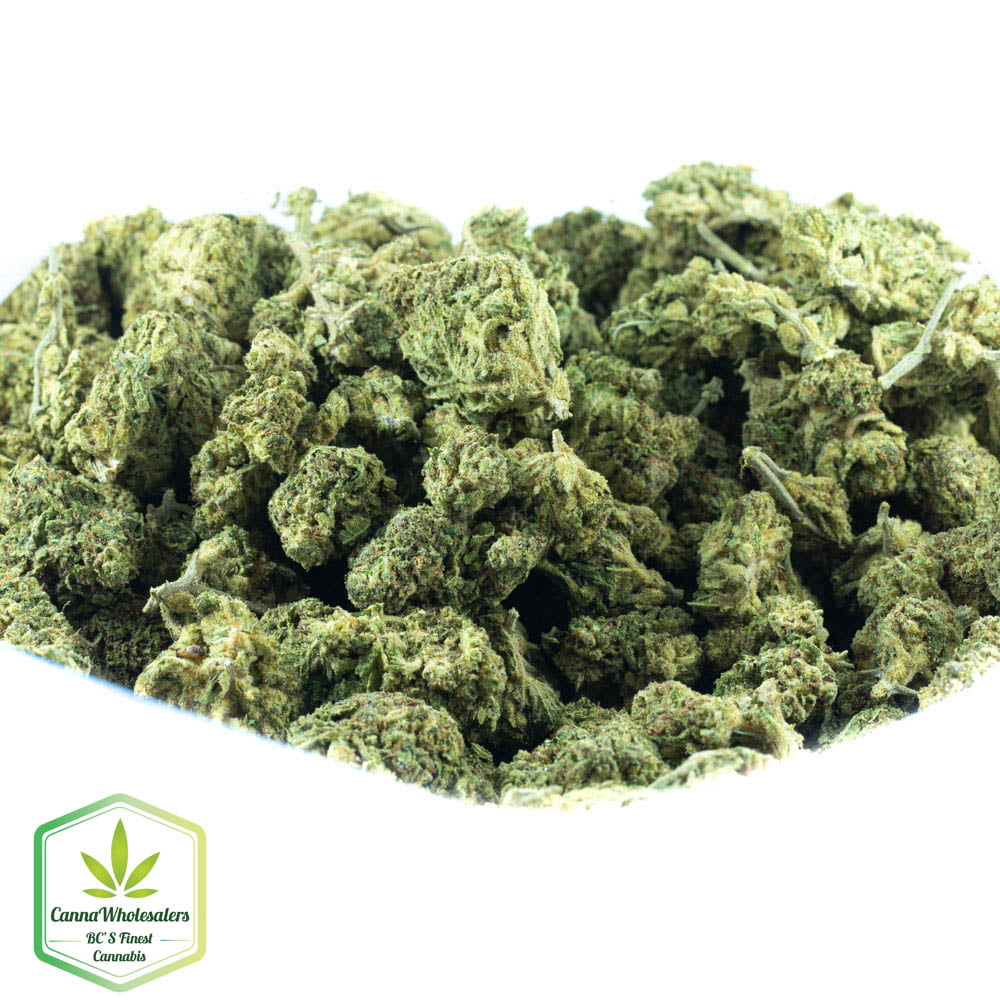 Lemon Jeffery