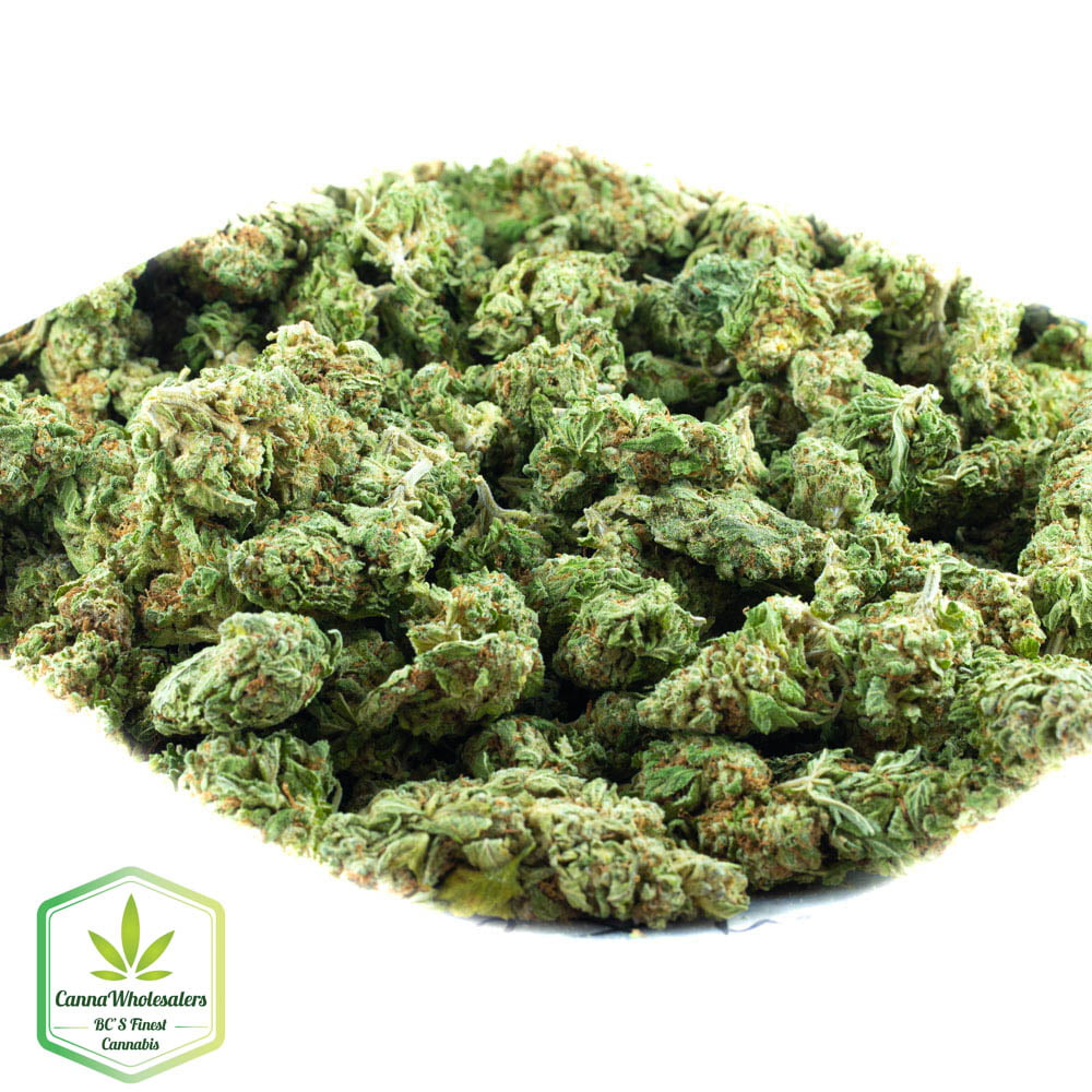 Diesel Glue