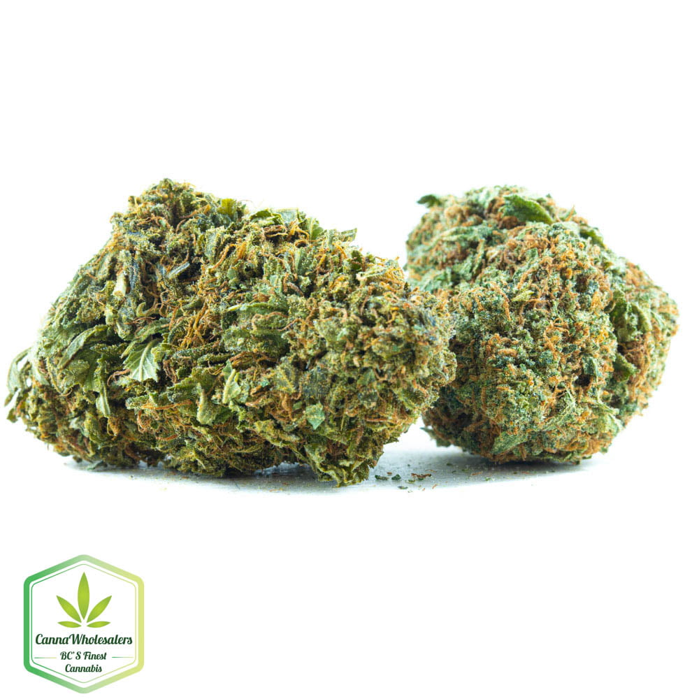 Kosher Kush