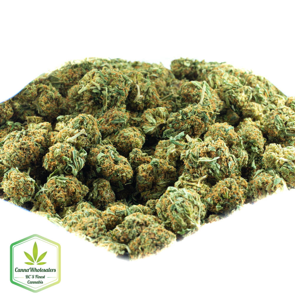 Kosher Kush
