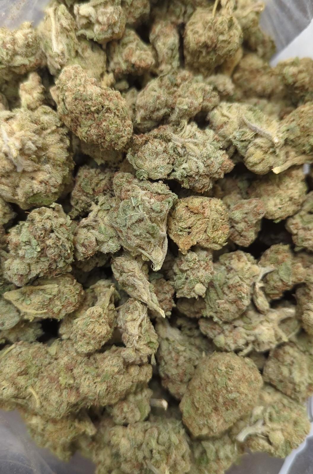 GG4