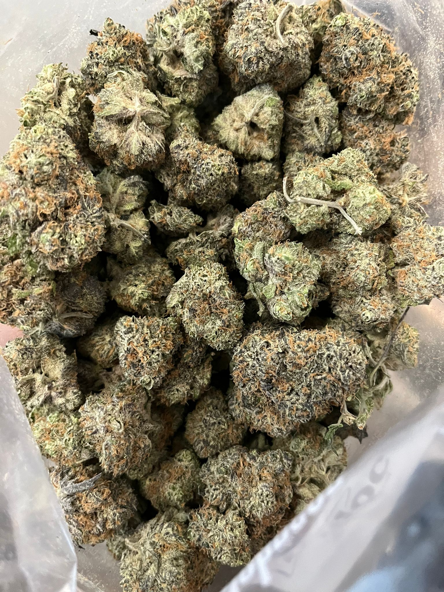 Cannawholesalers – Pineapple Punch