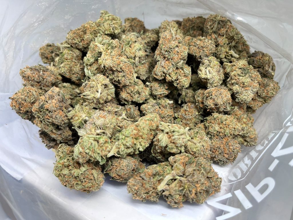 Budget Oz – Forbidden Fruit