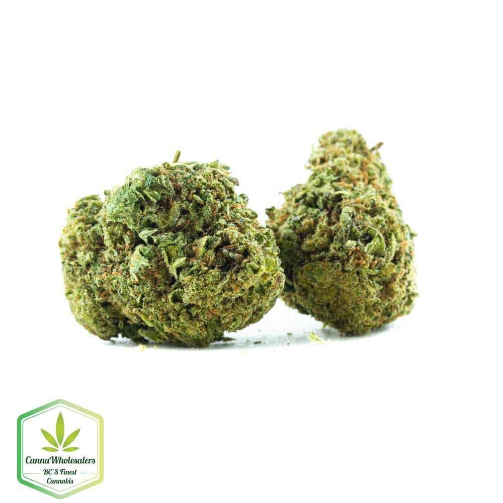 Budget Oz – LA OG