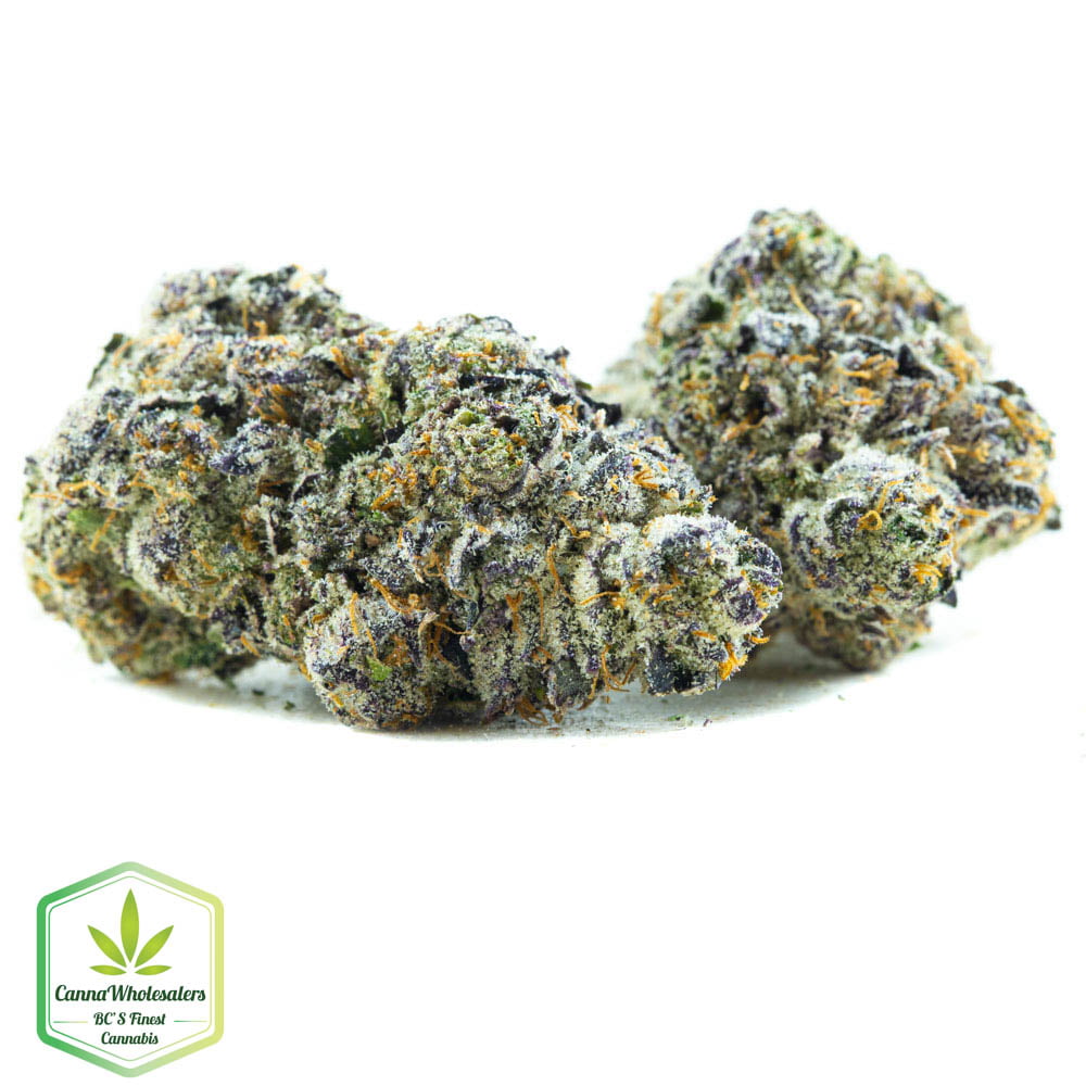 Blueberry Space Cookies