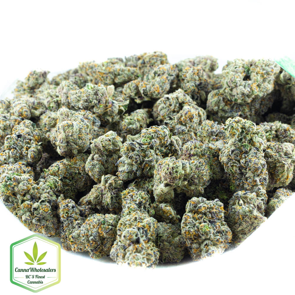 Blueberry Space Cookies