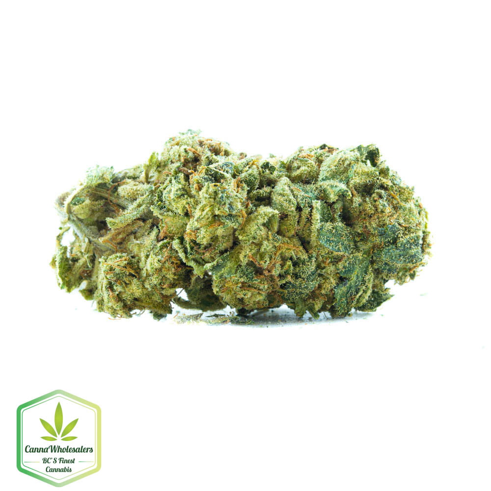 Sour Jack