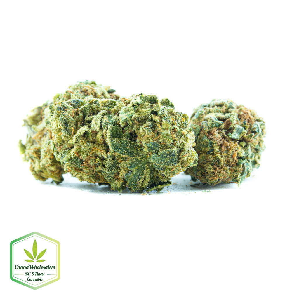 Sour Jack