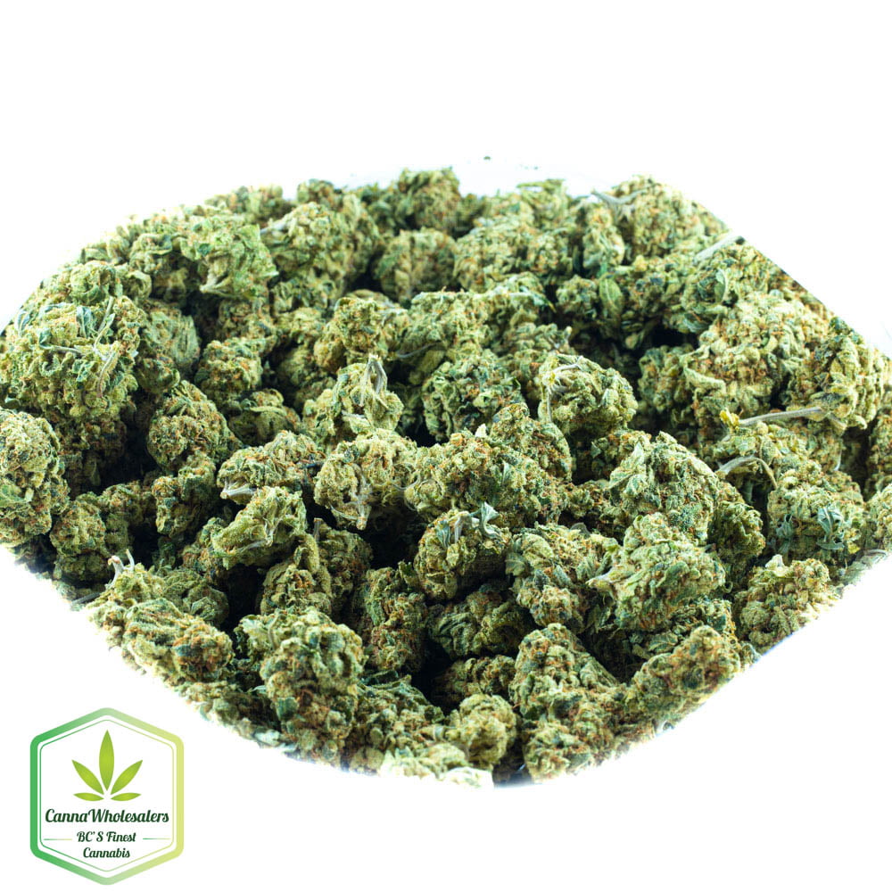 Sour Jack