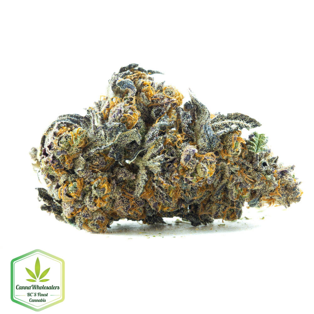 Purple Dream