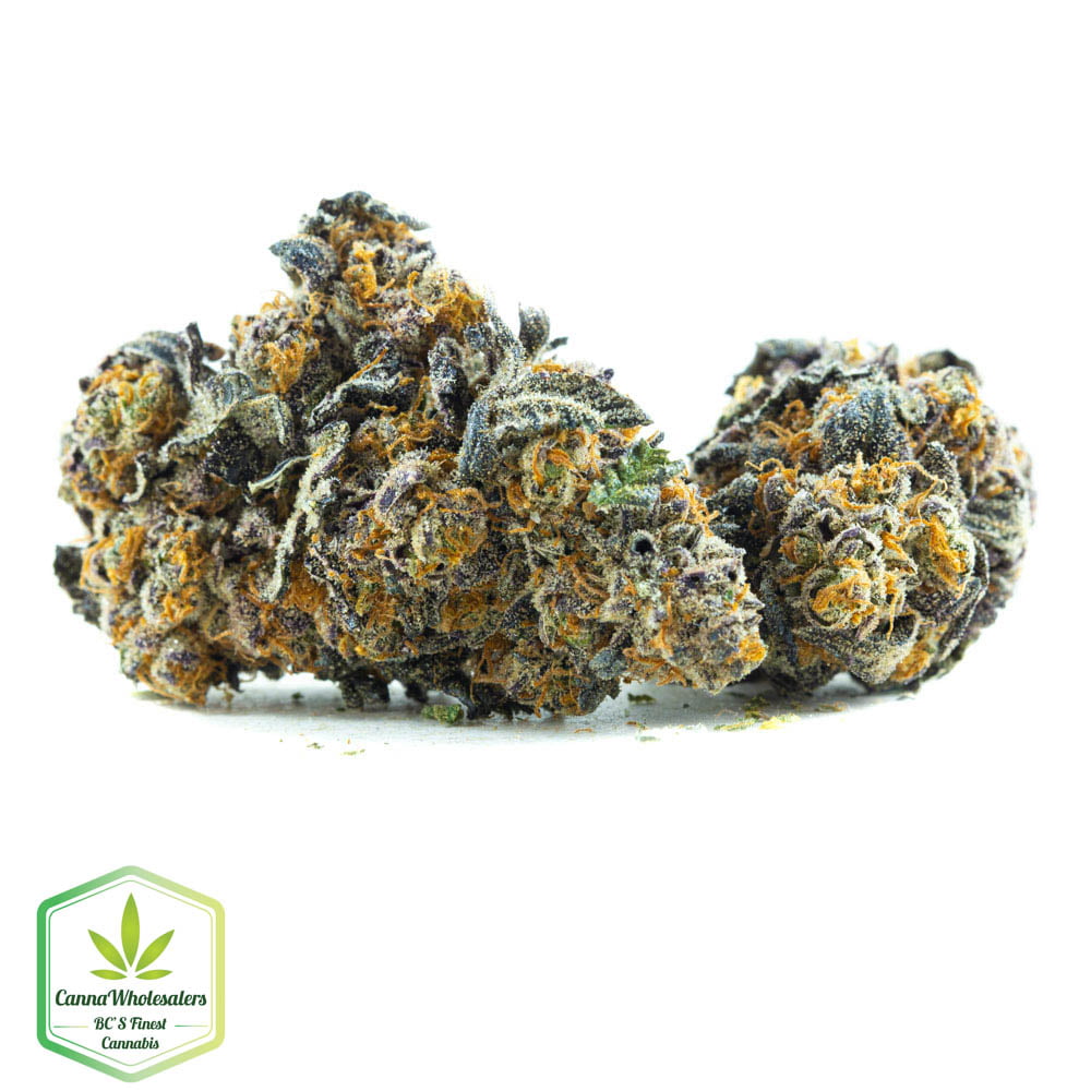Purple Dream