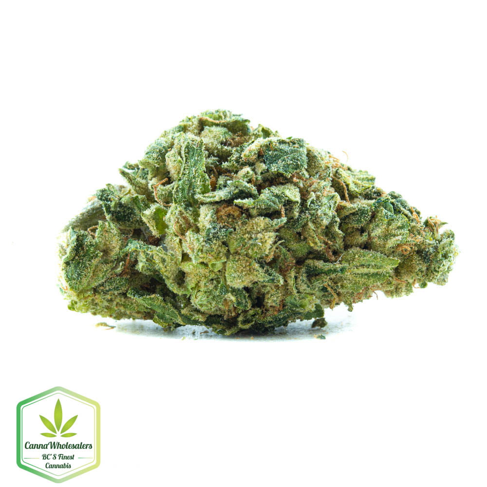 GG4