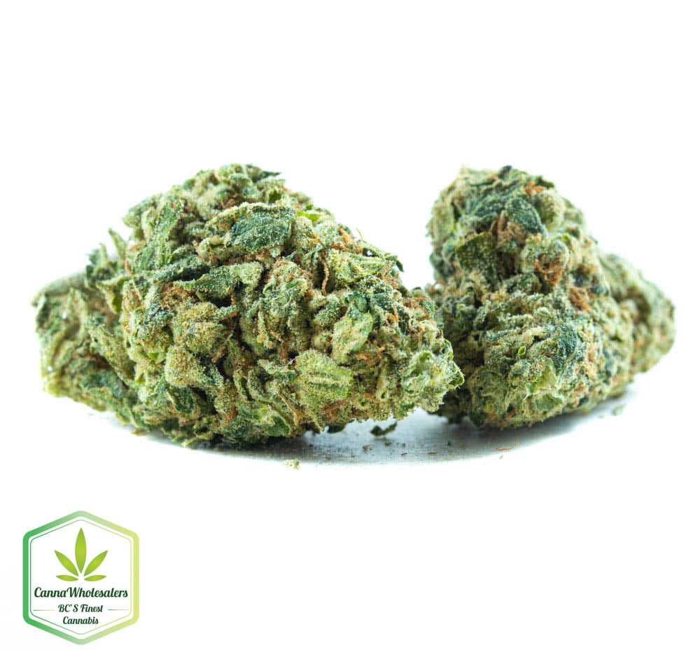 GG4