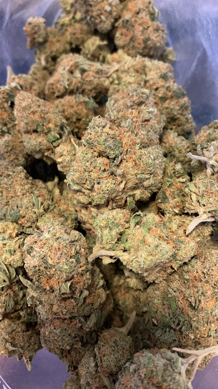 Budget Oz – Mandarine 47