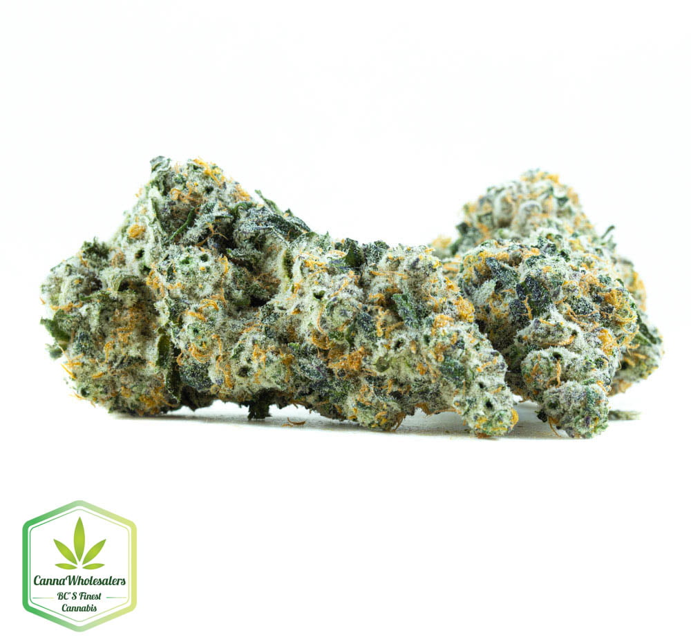 Guava Gelato – Craft Gardens – Budget Ounce