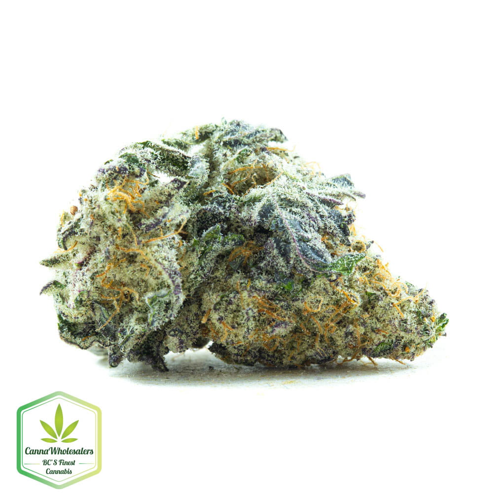Grape Stomper