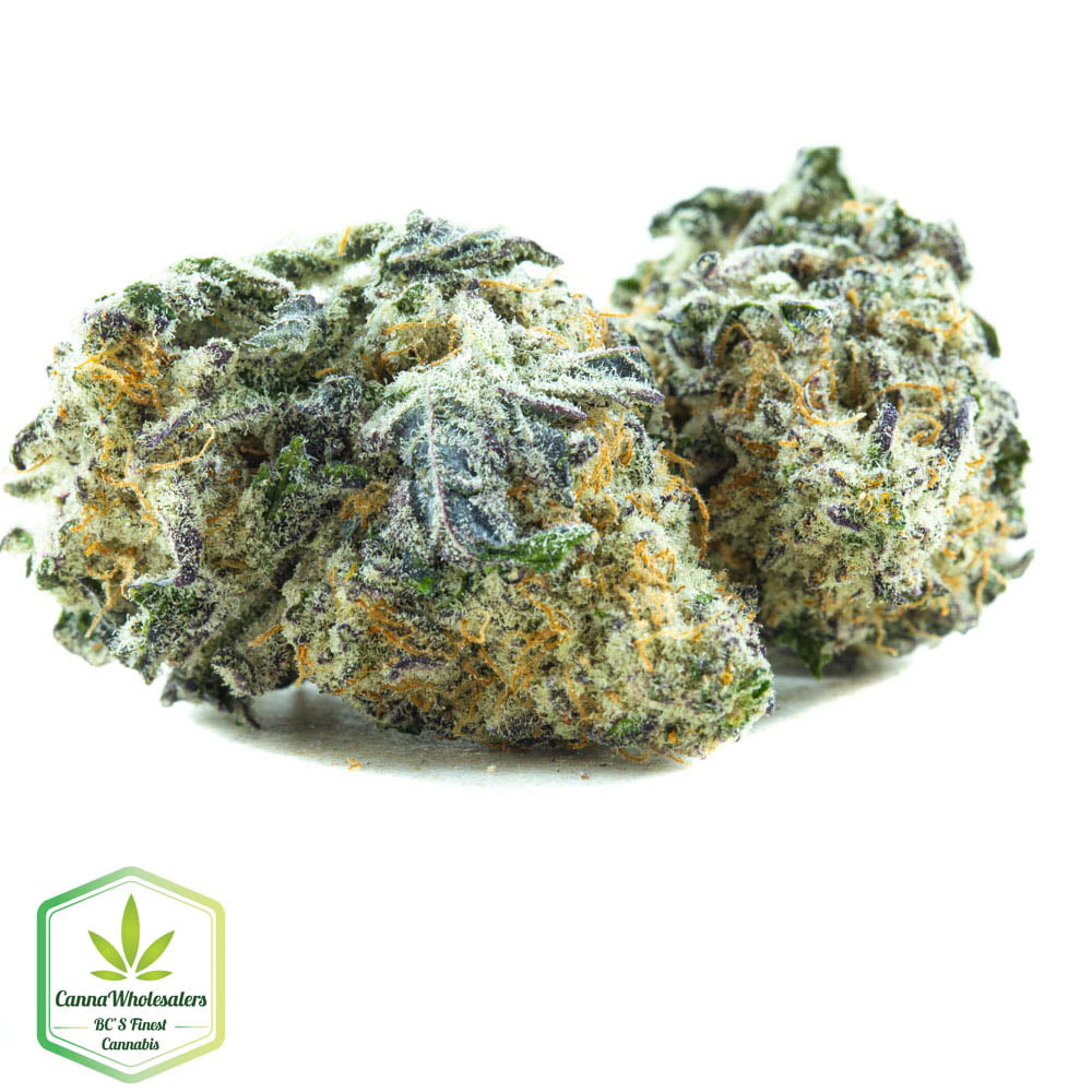 Grape Stomper