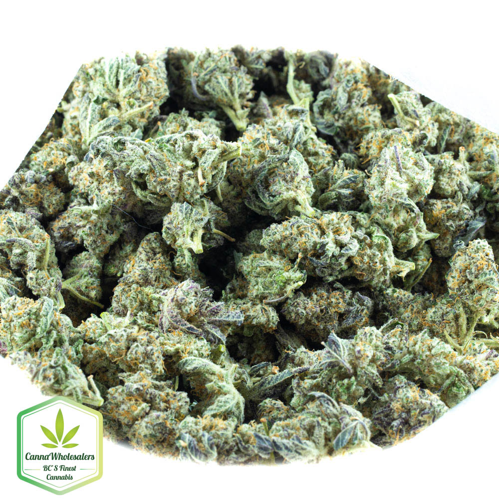 Grape Stomper