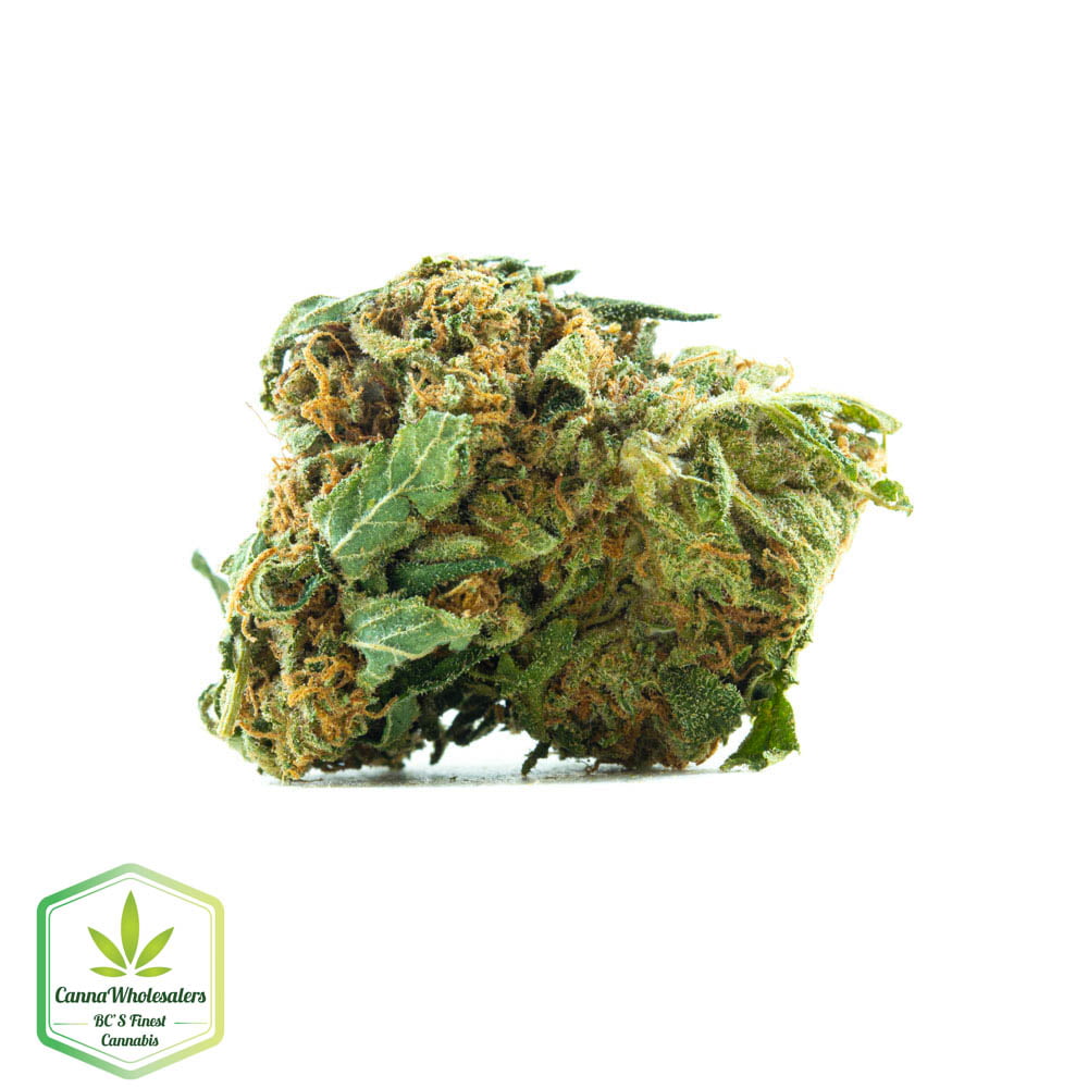 Power Kush