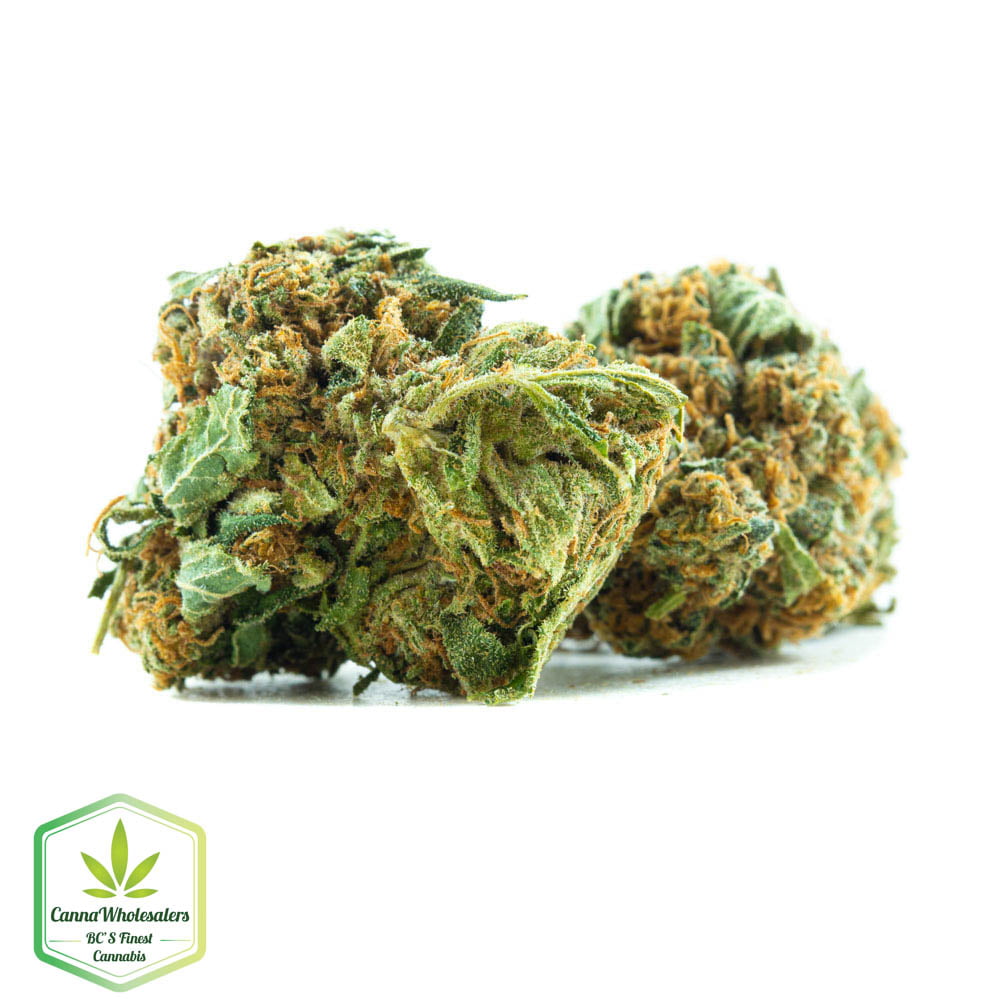 Power Kush