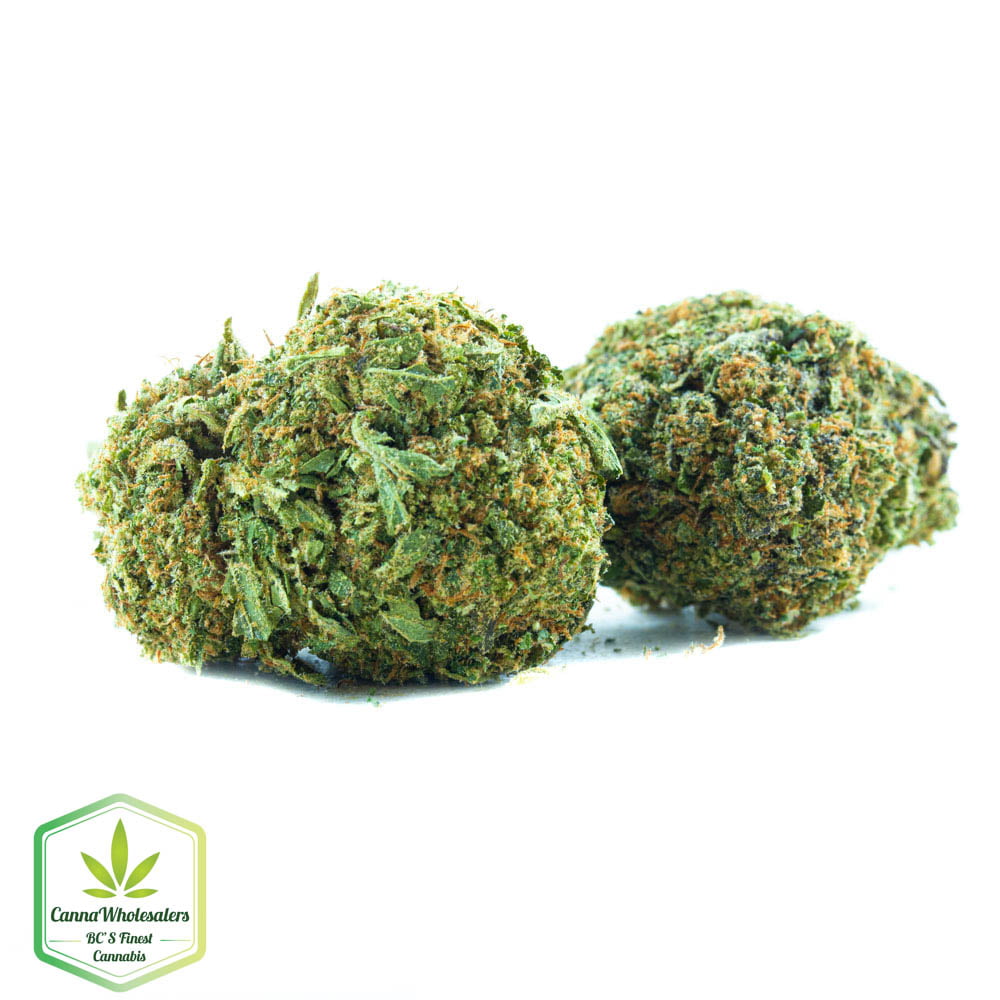 Sour Kush