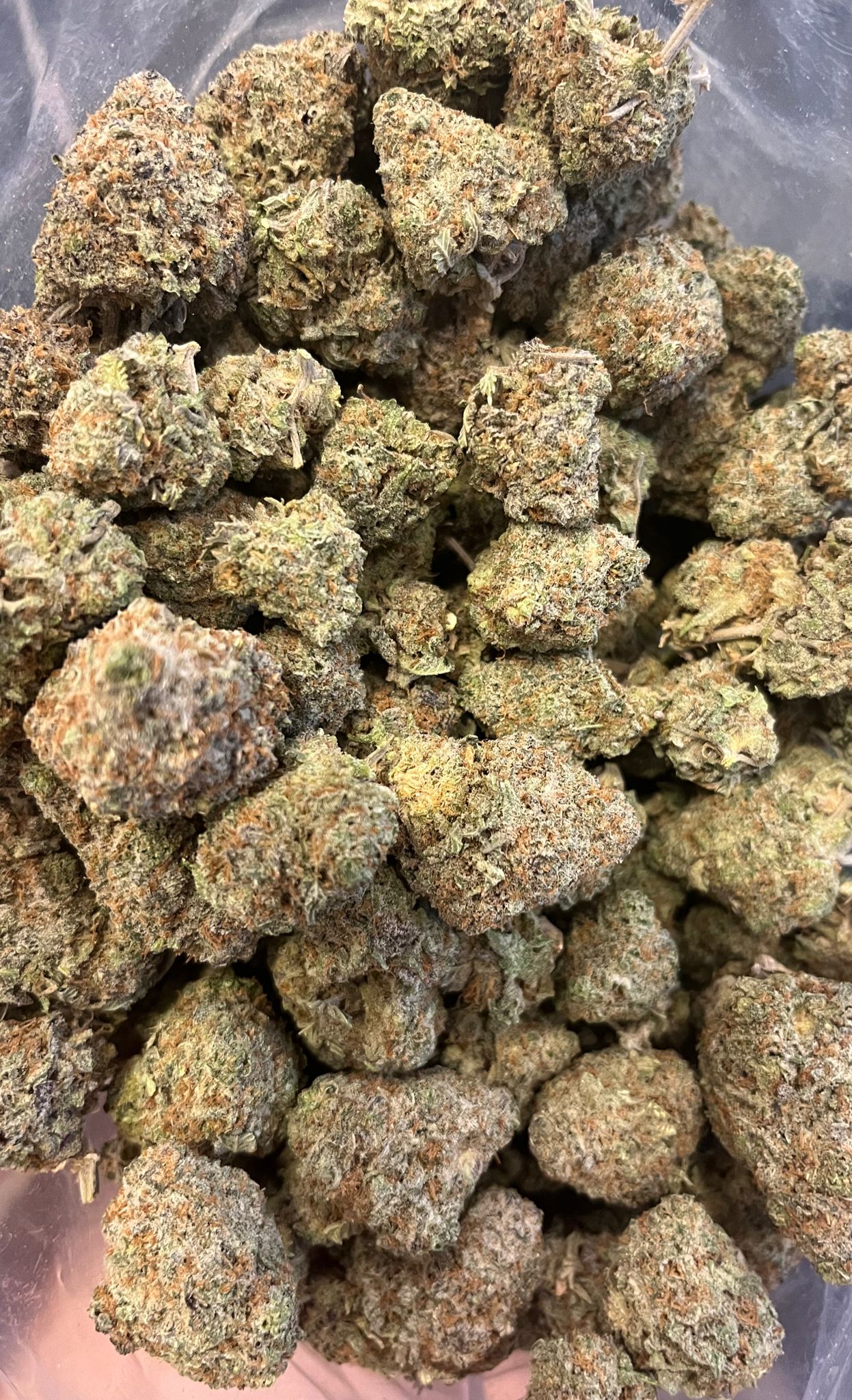 Candyland