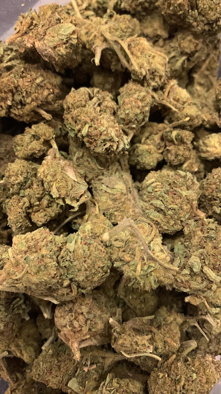 Apple Fritter