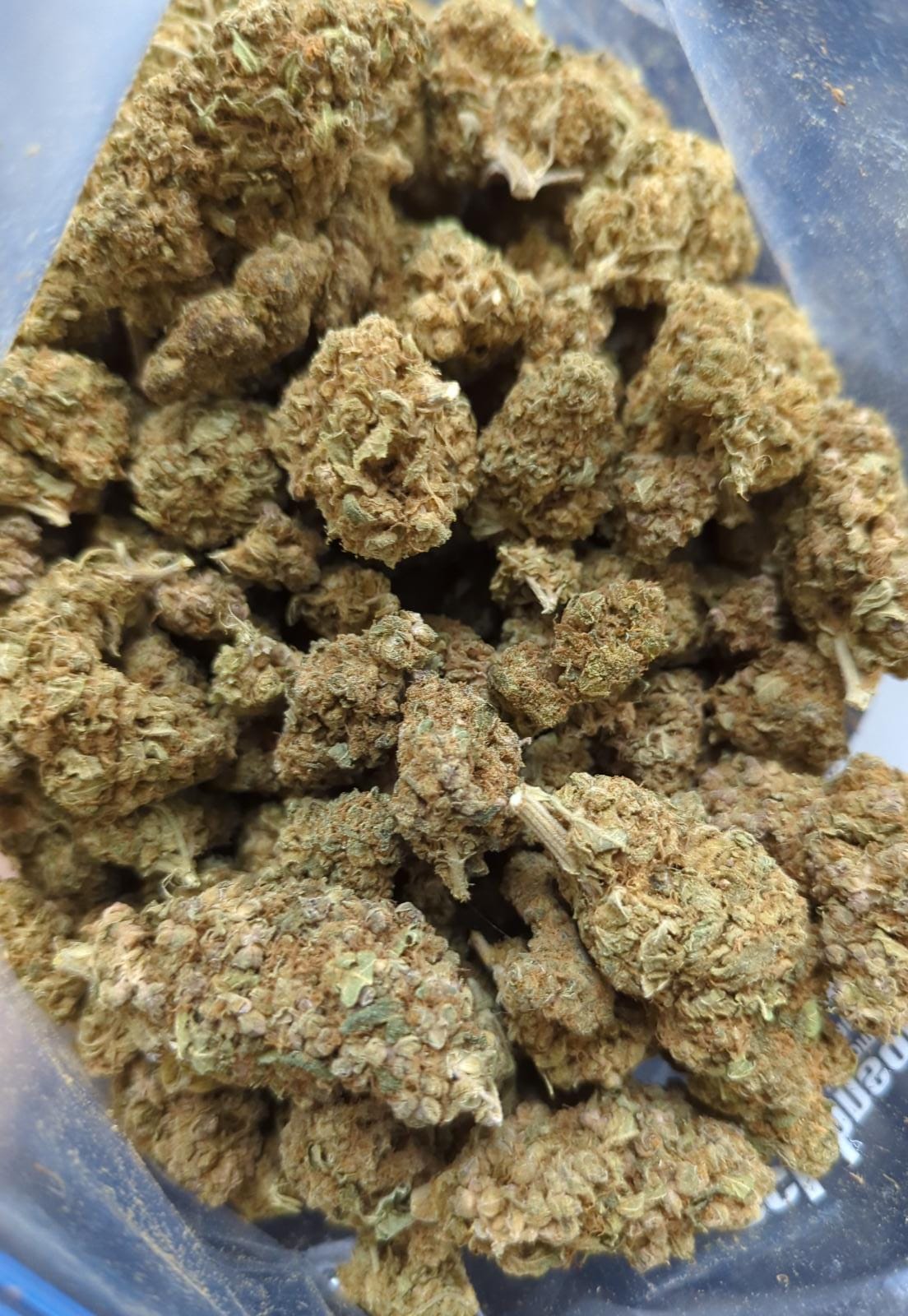 Greenhouse – White Wedding
