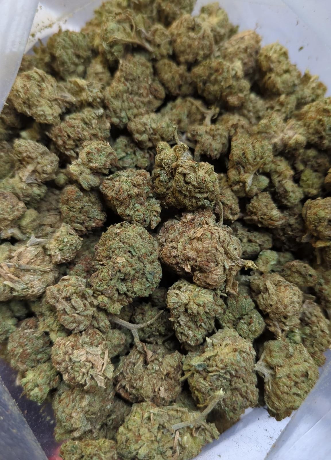 Pure Kush