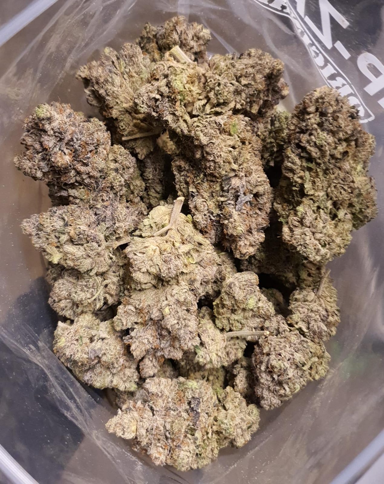 Budget Oz – Khalifa Kush