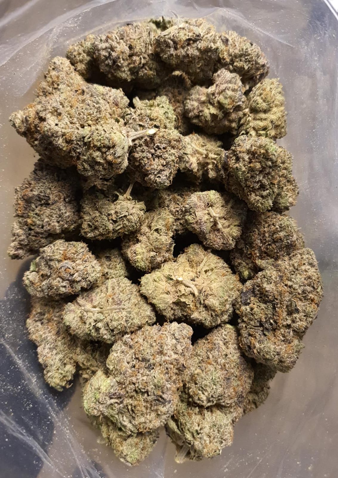 Budget Oz – Purple Space Tuna