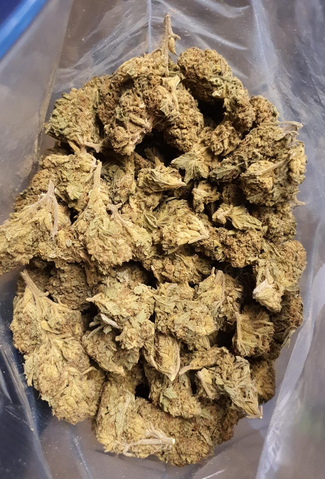 DelaHaze – Budget Ounce