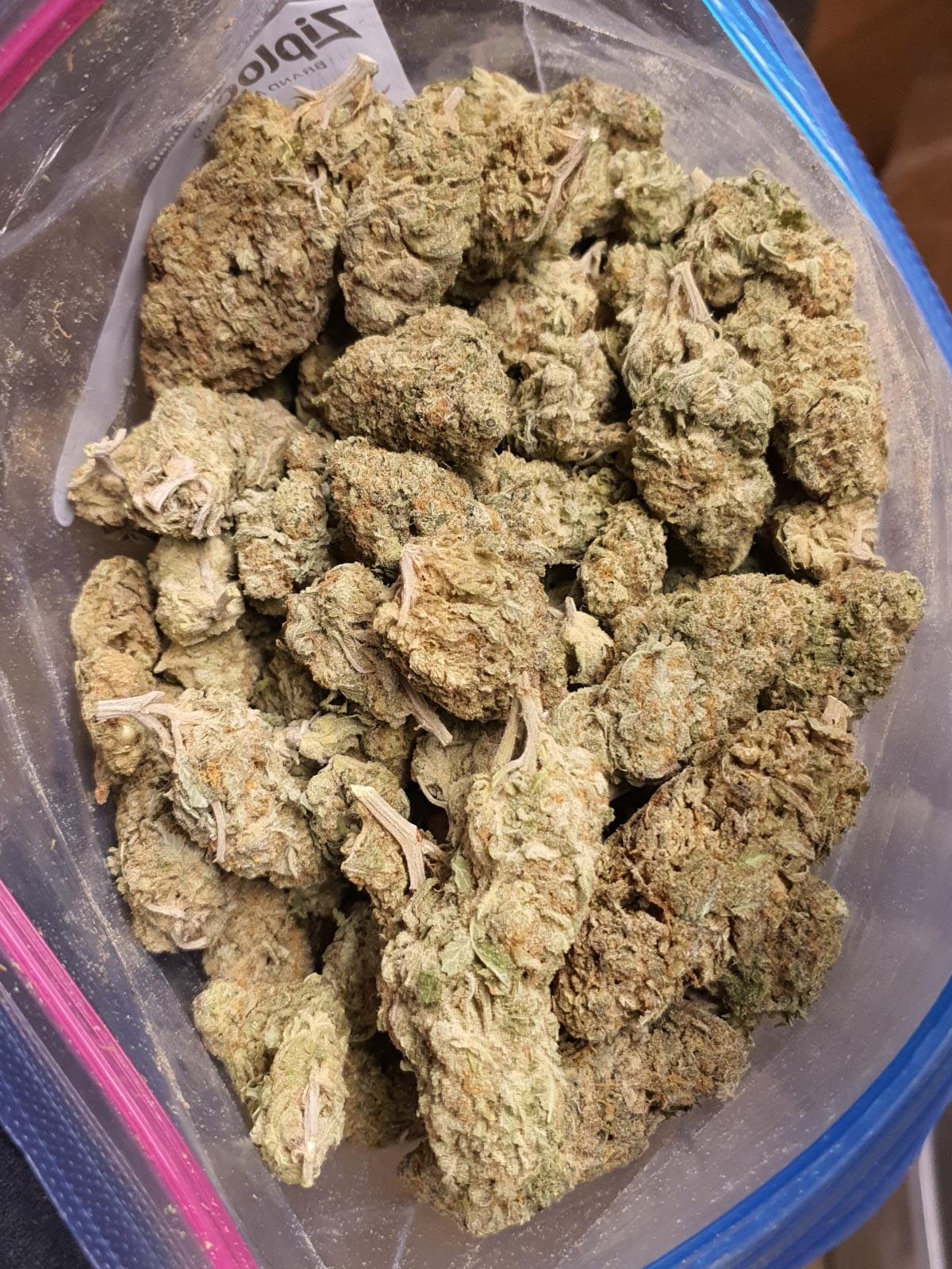 Wish Mountain