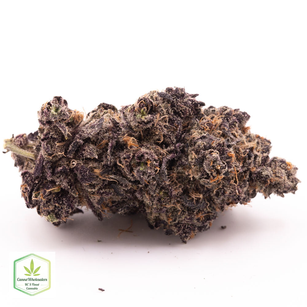 Double Purple Doja