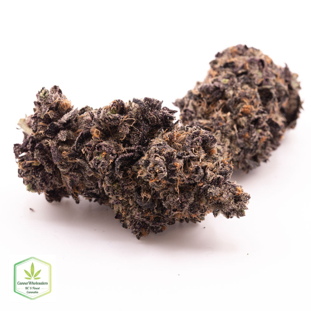 Double Purple Doja