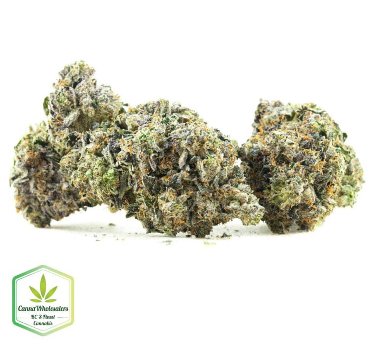 Budget Oz – Khalifa Kush