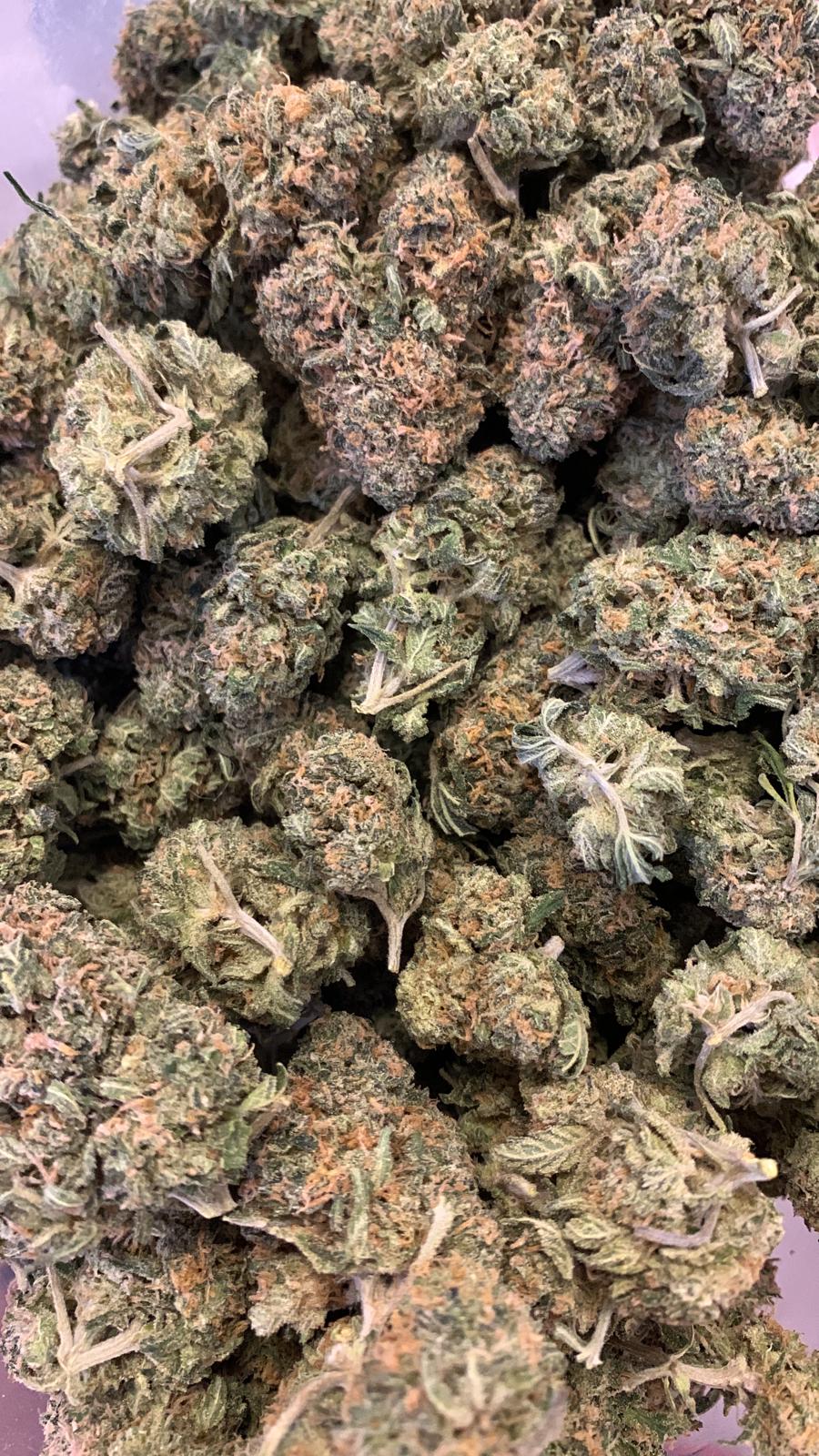 Budget Oz – Purple Passion