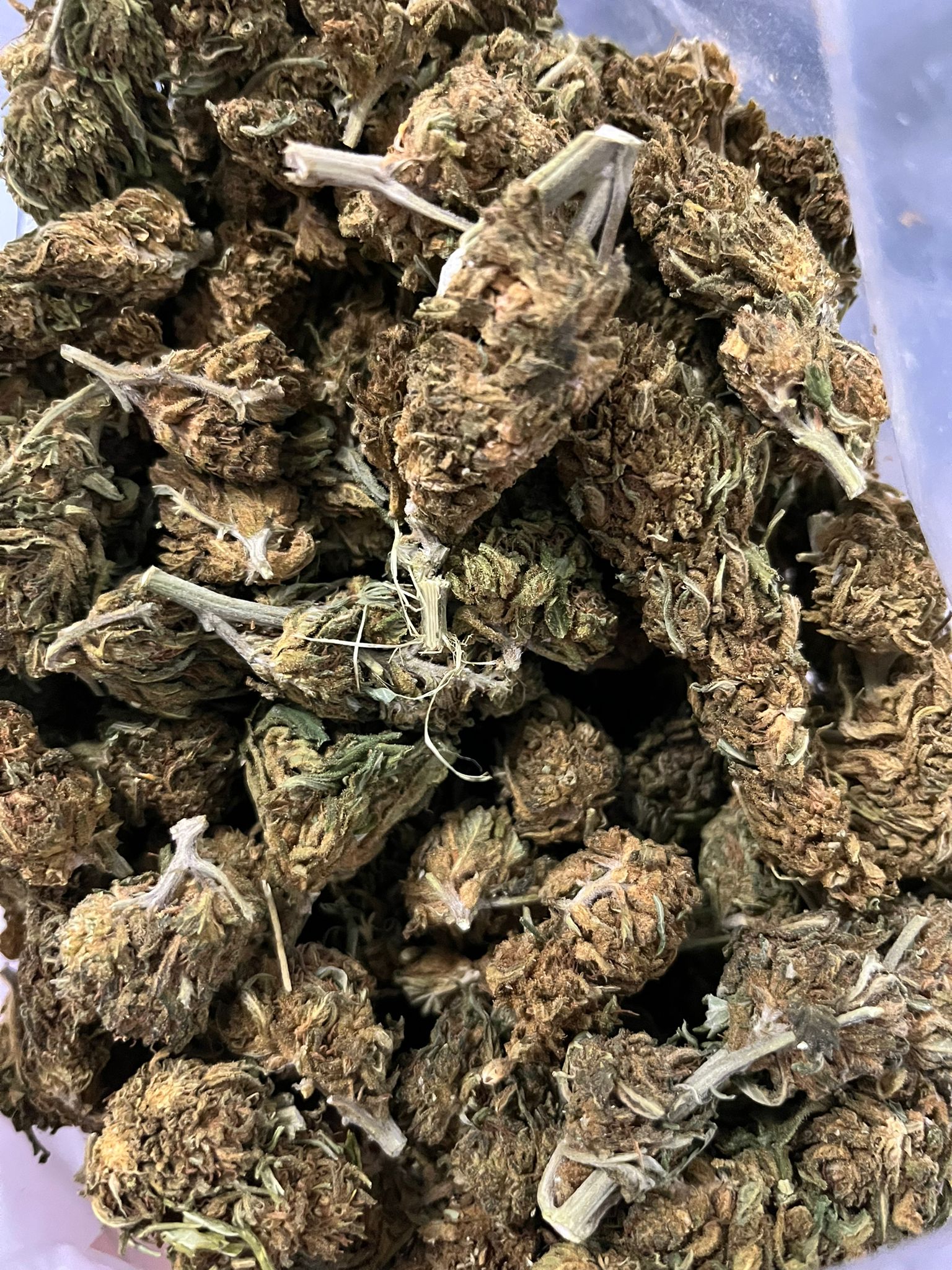 Cold Creek Kush
