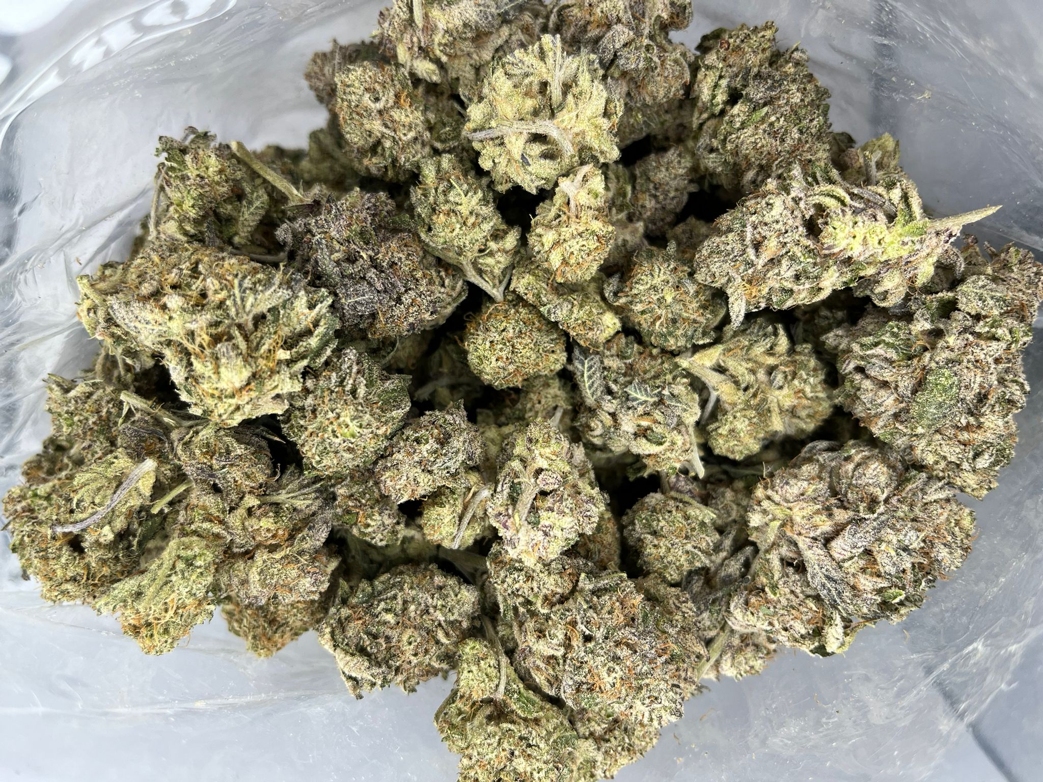 Budget Oz – Purple Dream