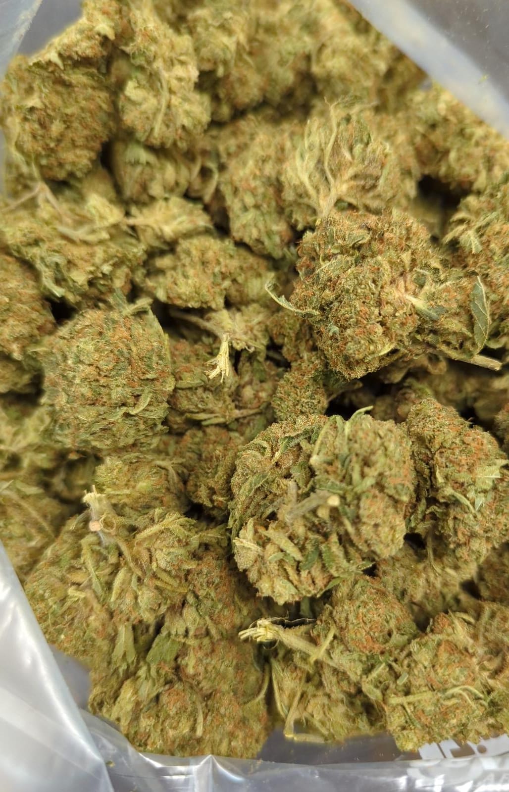 Orange Afghani