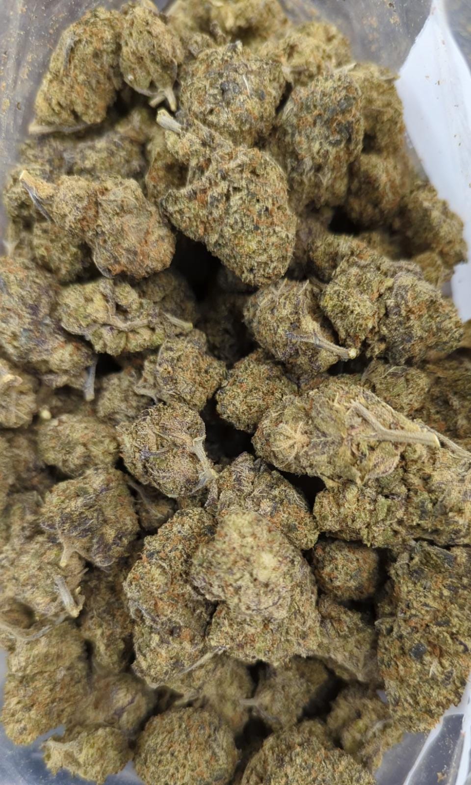 Pearl Scout Cookies