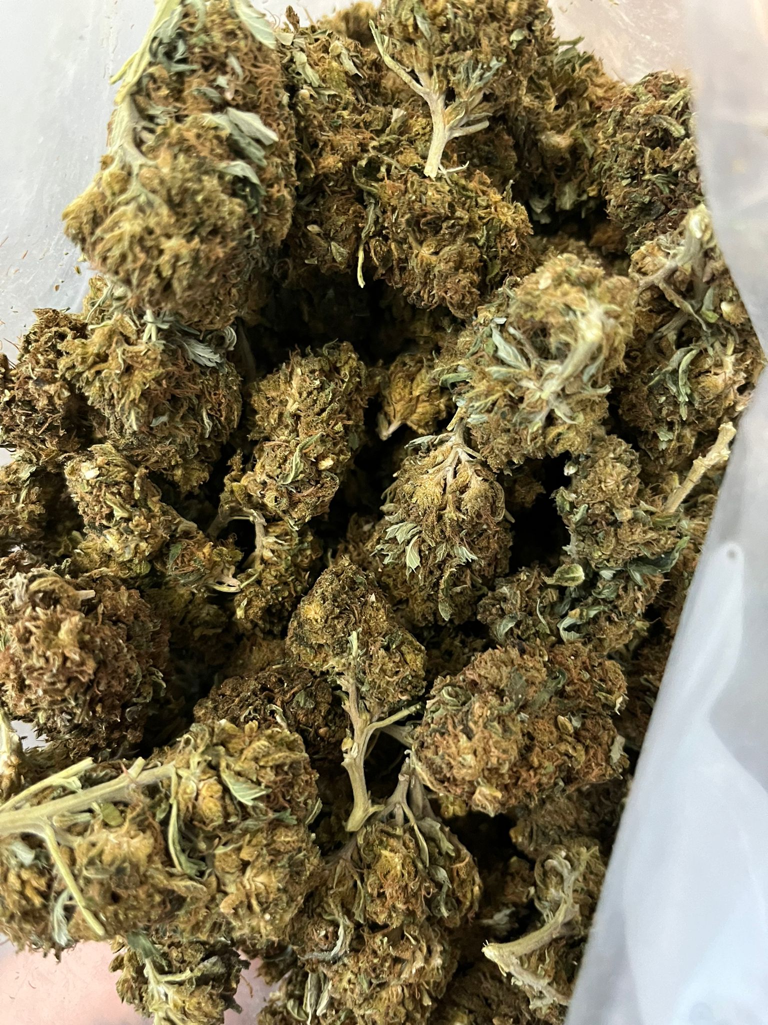 Greenhouse – Ape Diesel