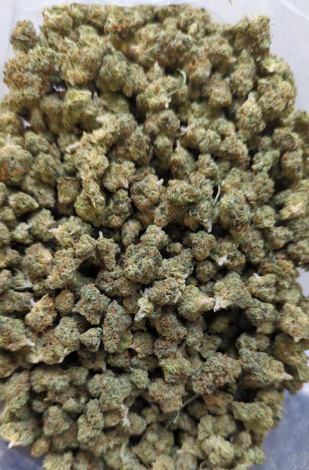Vortex Small Buds